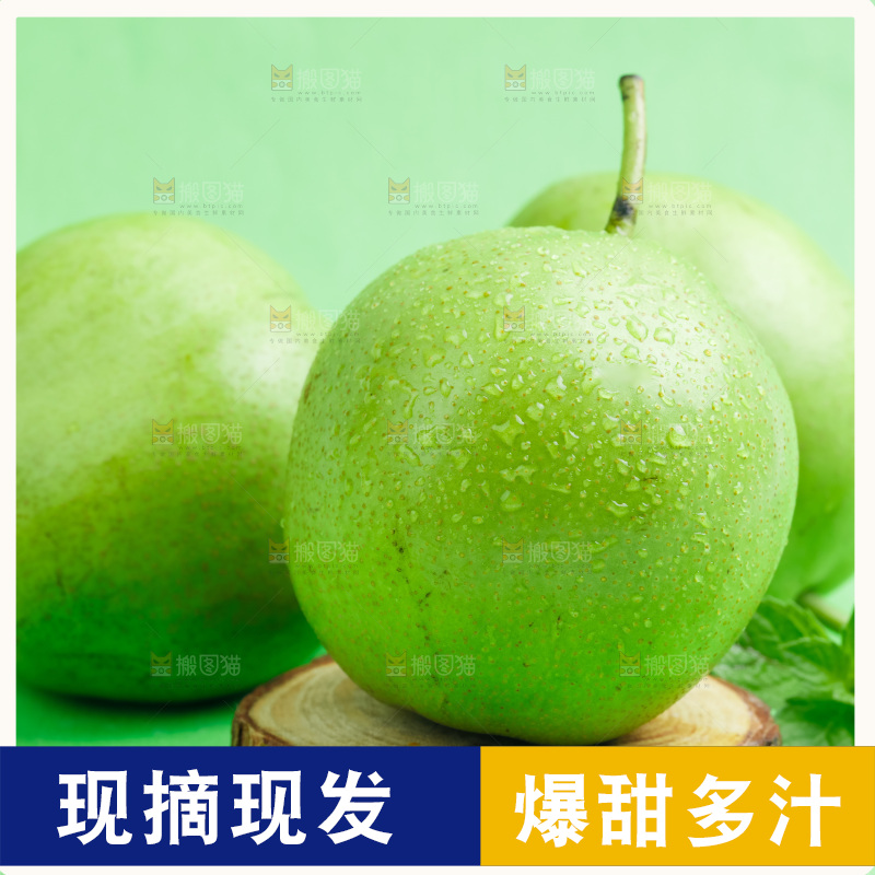 浅底上的早酥梨