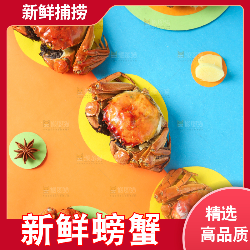 彩底上的螃蟹