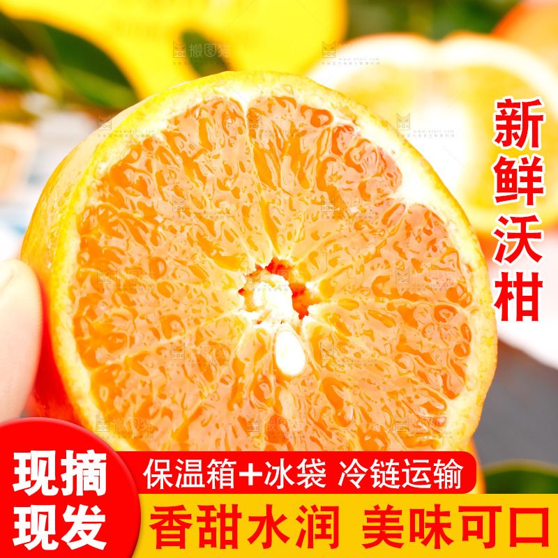 手里拿着新鲜沃柑