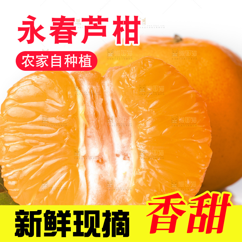 白底上的芦柑