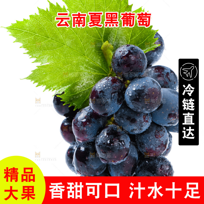 白底上的夏黑葡萄