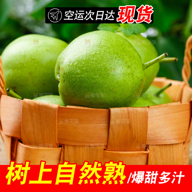 陕西早酥梨放在木底上
