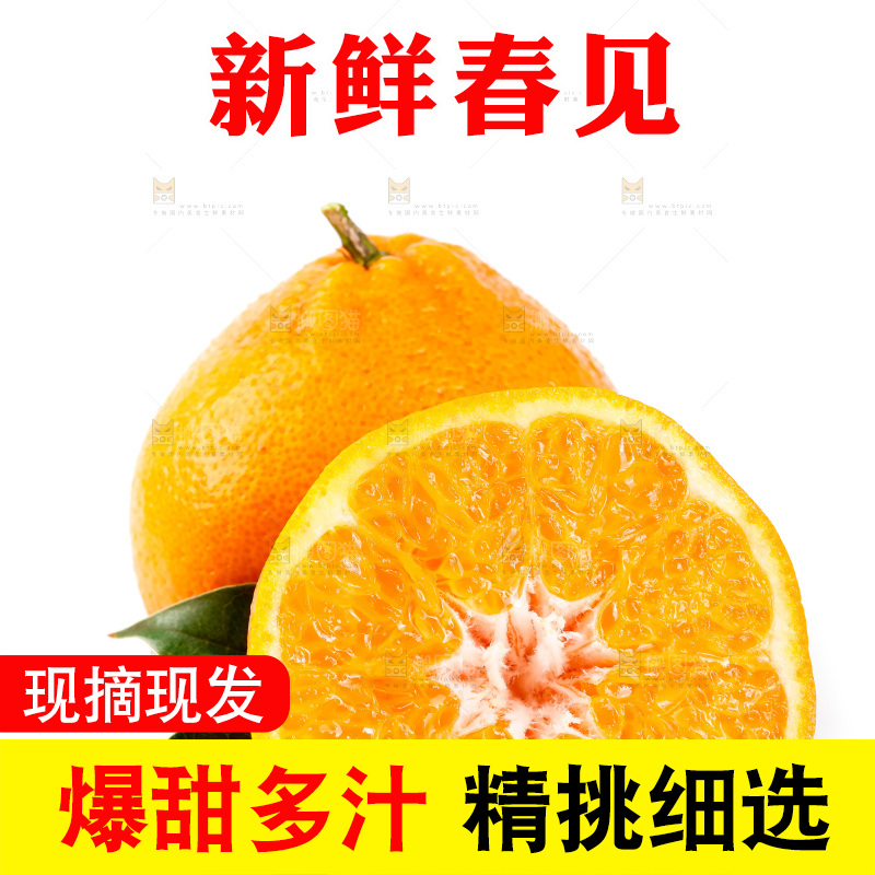 白底上的春见耙耙柑
