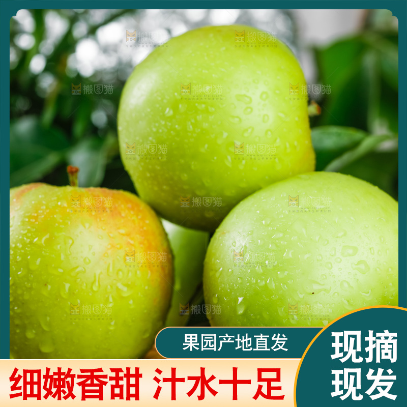 木底上的美八苹果