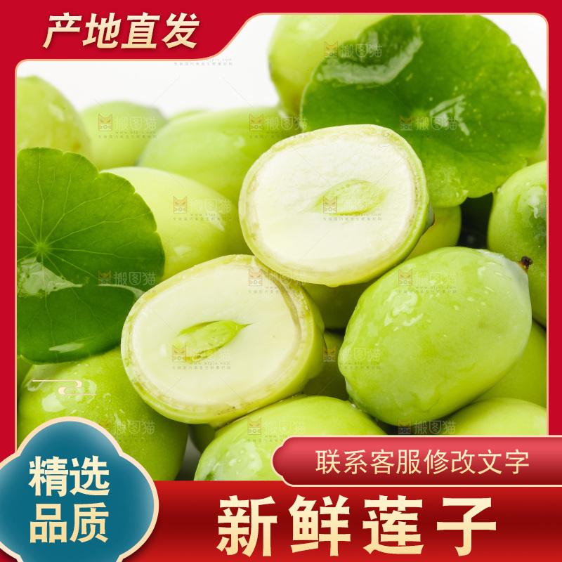 白底上放着湖北新鲜嫩莲子