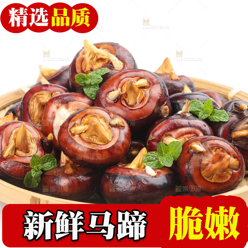 篮子里的荔浦马蹄