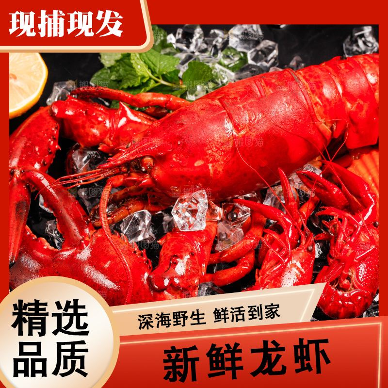 黑底上的大龙虾