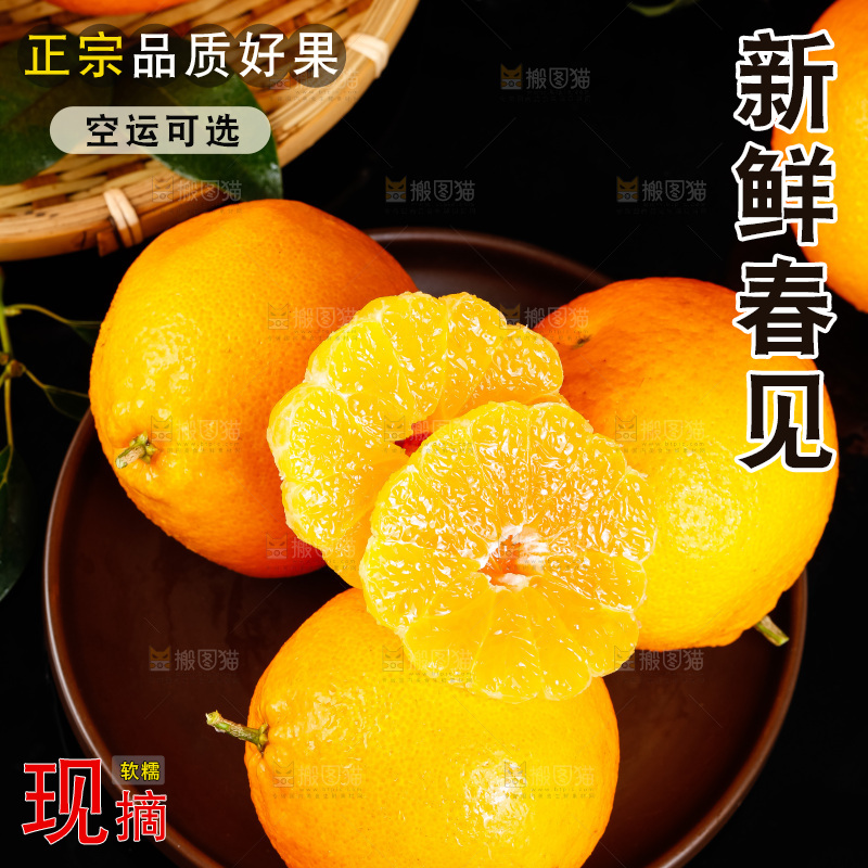 深底上的春见柑桔