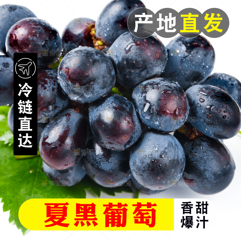 白底上的夏黑葡萄