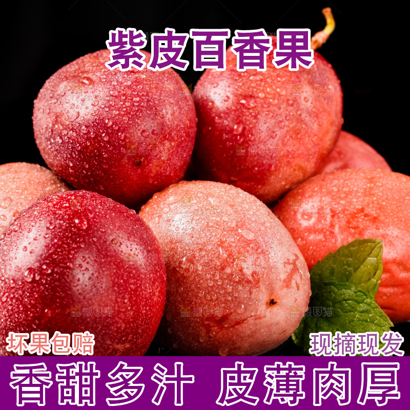 紫皮百香果放在黑底上