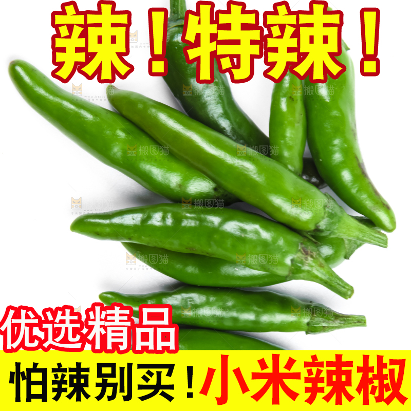 白底上摆放着广西小米椒