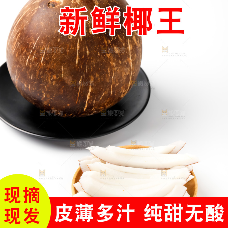 浅底上的椰皇