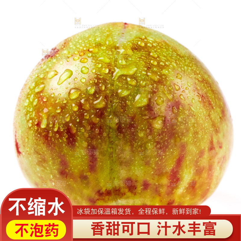 白底上的三华李