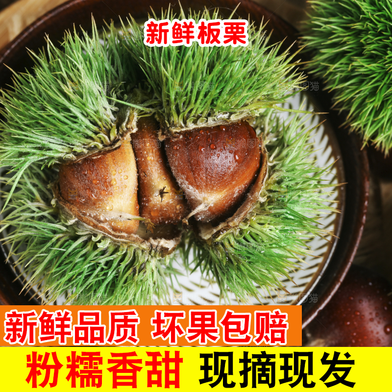 深底上放着迁西板栗