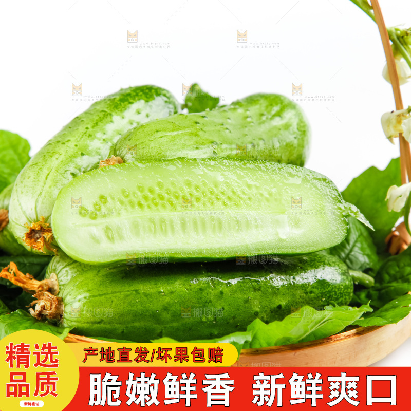 篮子里装着刺黄瓜