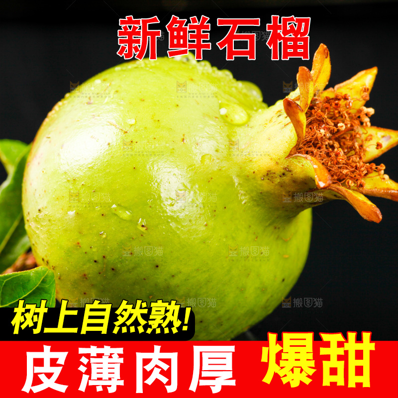 黑底上的软籽石榴