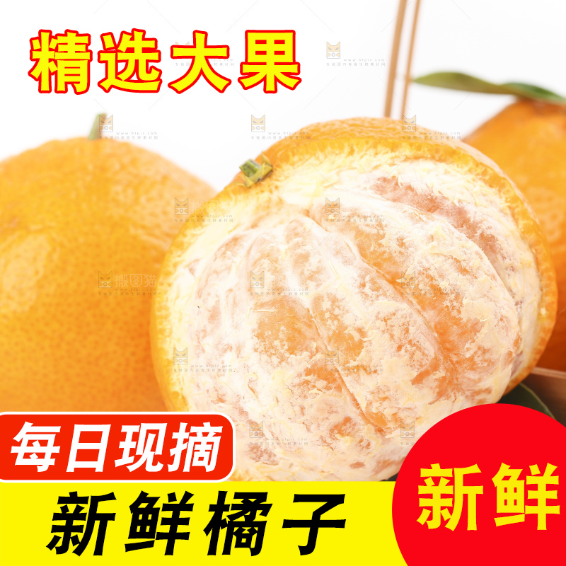 白底上的椪柑橘