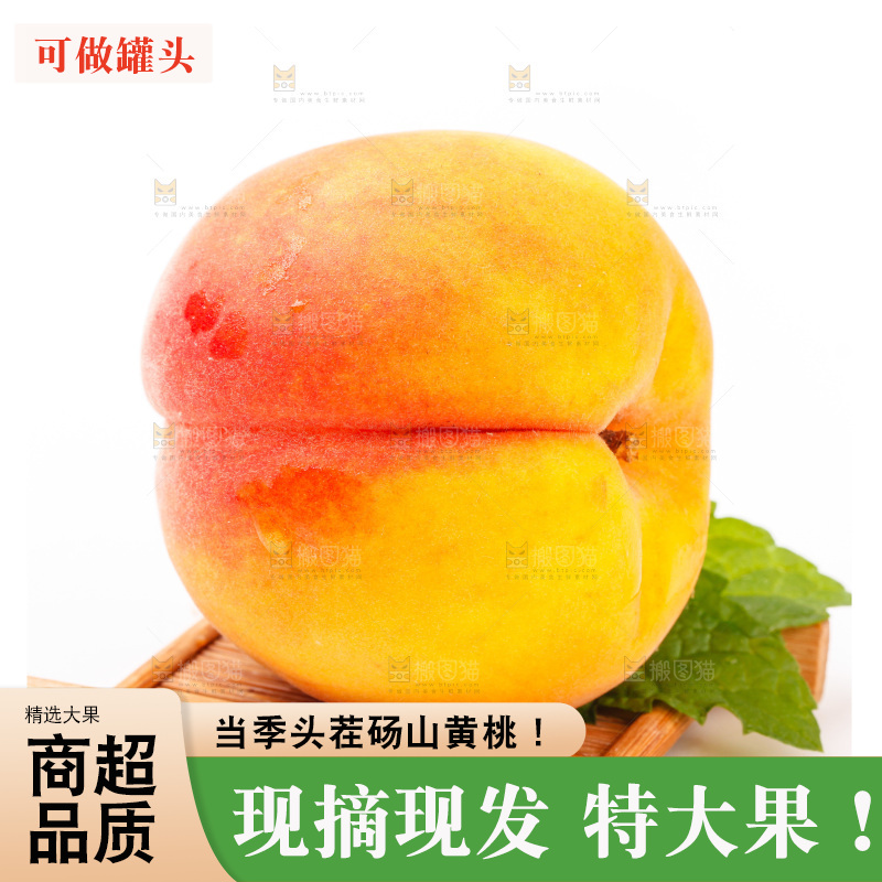 新鲜黄桃放在白底上