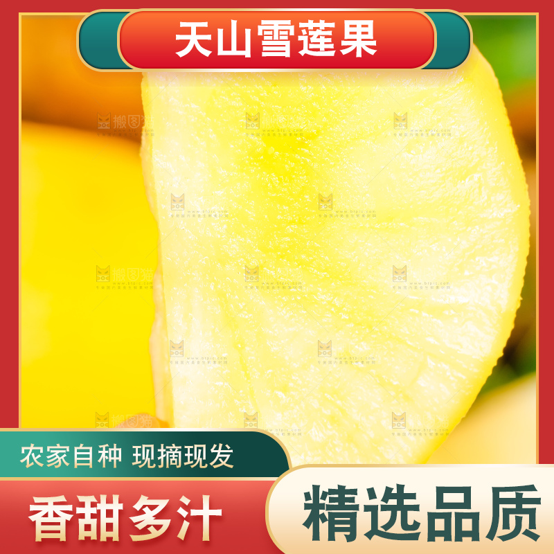 手里拿着新鲜雪莲