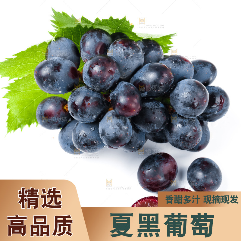 白底上的夏黑葡萄