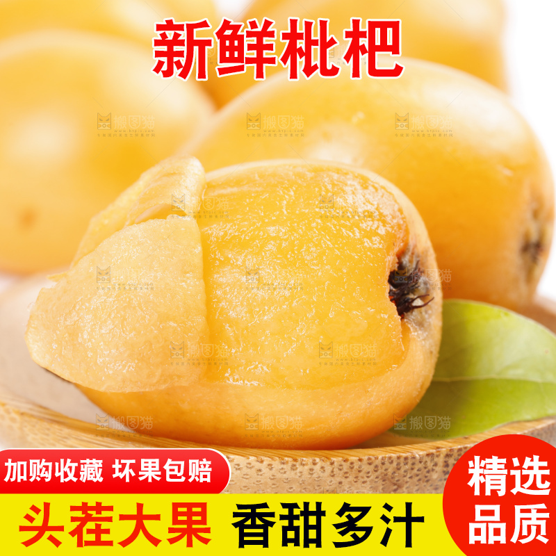 白底上放着攀枝花米易枇杷