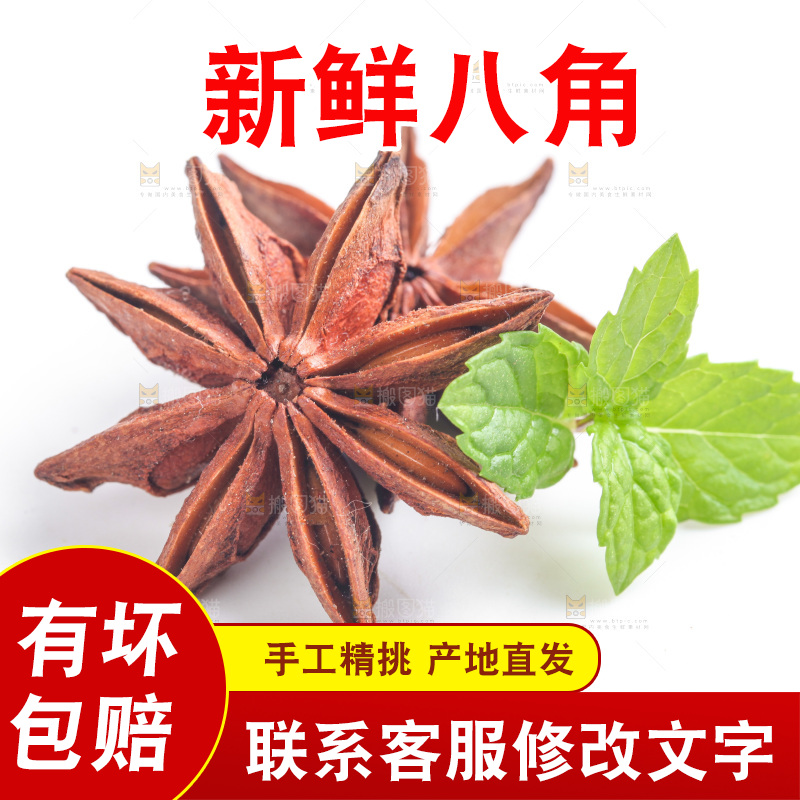 广西八角放在白底上