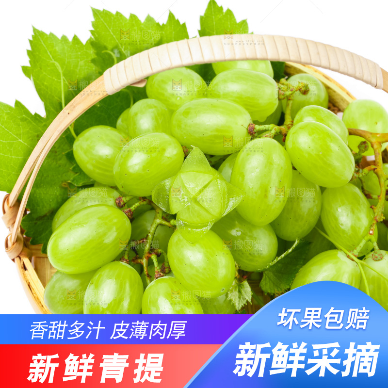 白底上放着一筐维多利亚青提