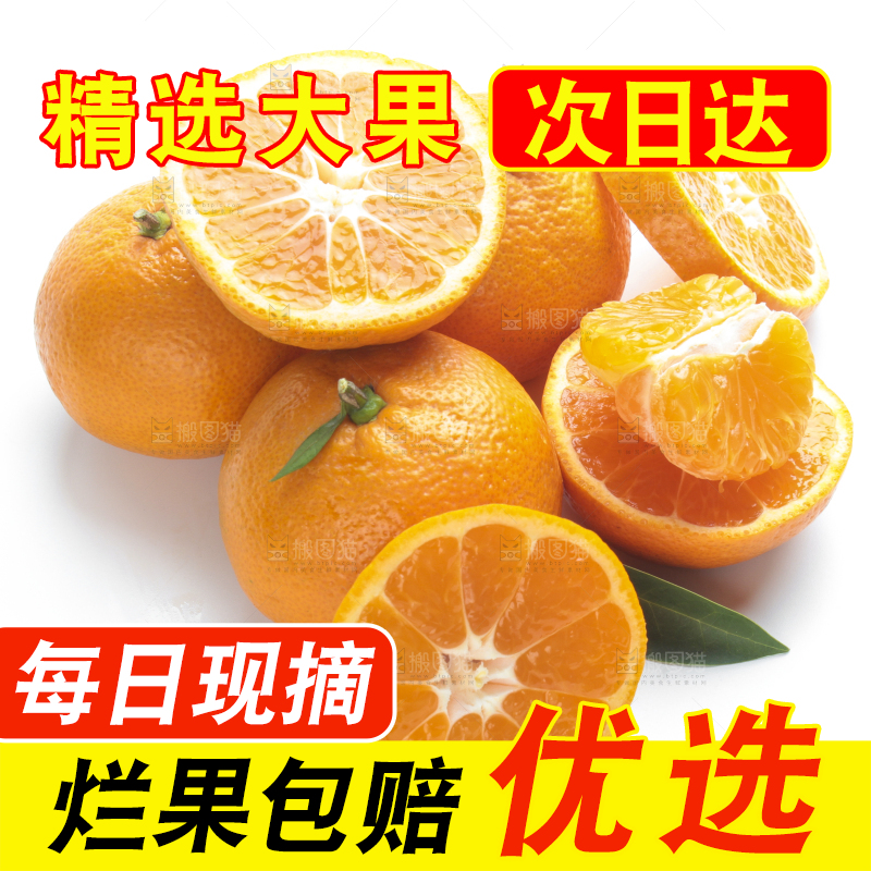 白底上的椪柑