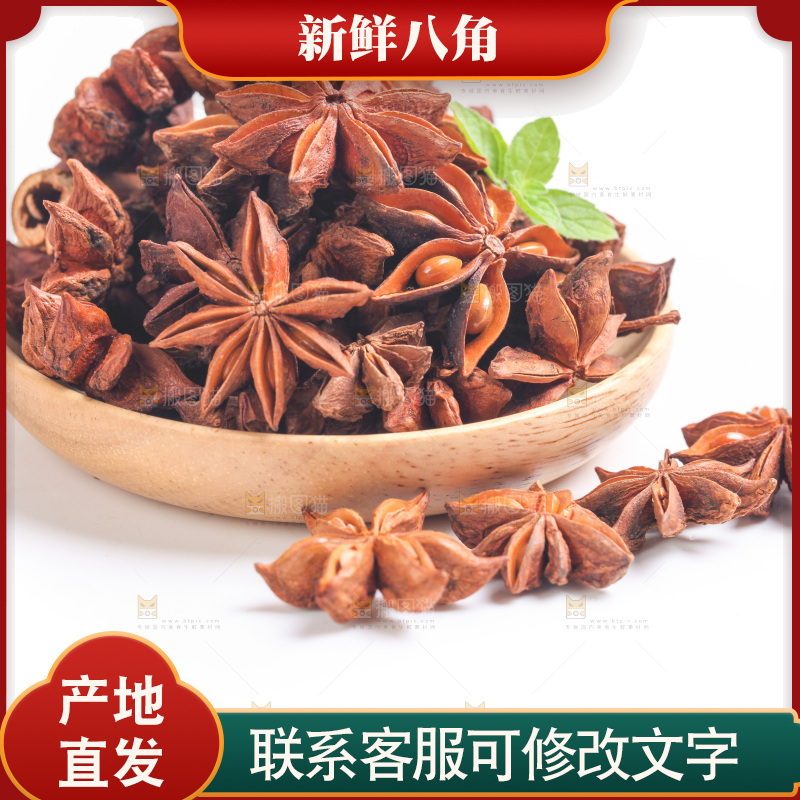 广西八角放在白底上