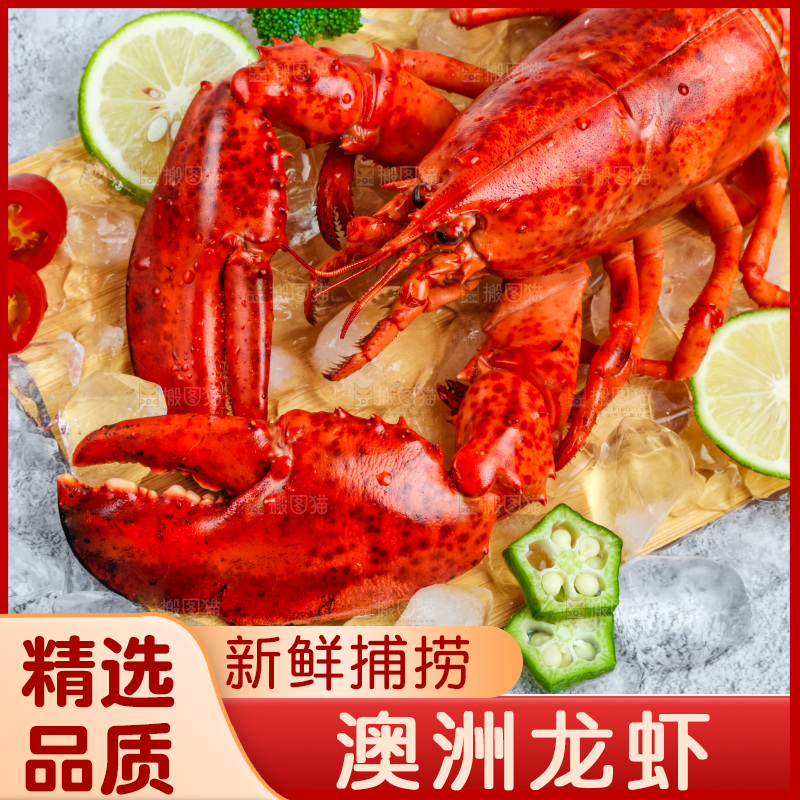 石板上的波士顿大龙虾