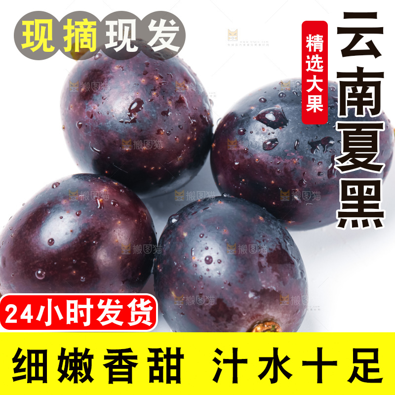 白底上放着云南夏黑葡萄