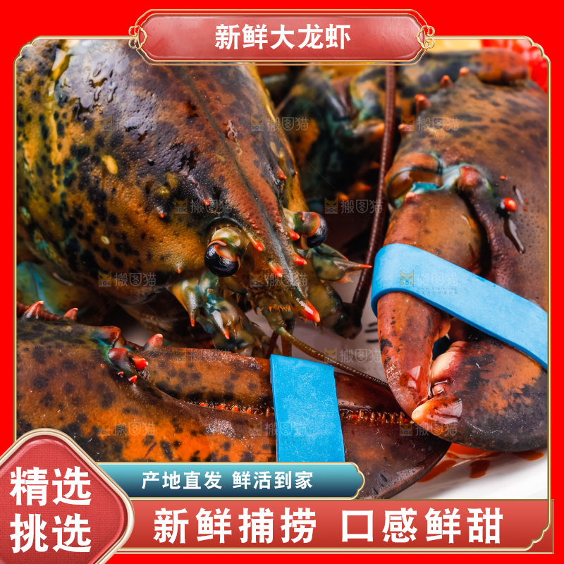 白底上放着一盘龙虾
