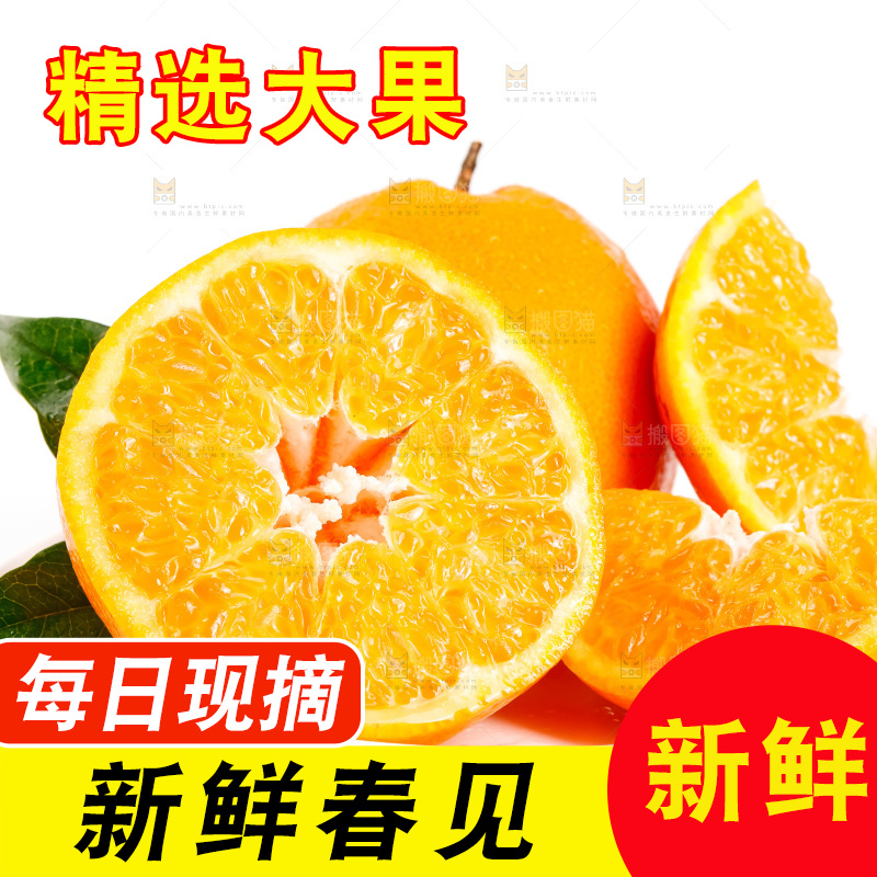 白底上放着耙耙柑