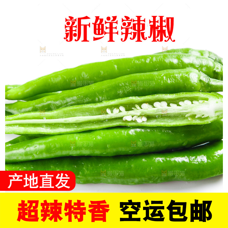 白底上摆放着新鲜杭椒