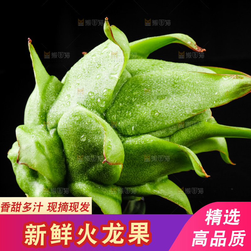 黑底上的火龙果