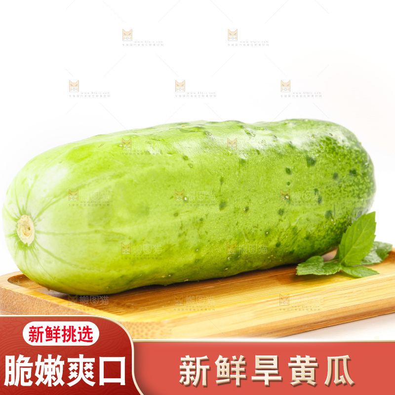 白底上放着新鲜旱黄瓜