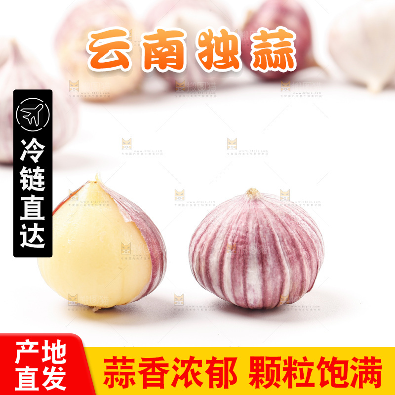 浅底上的独蒜