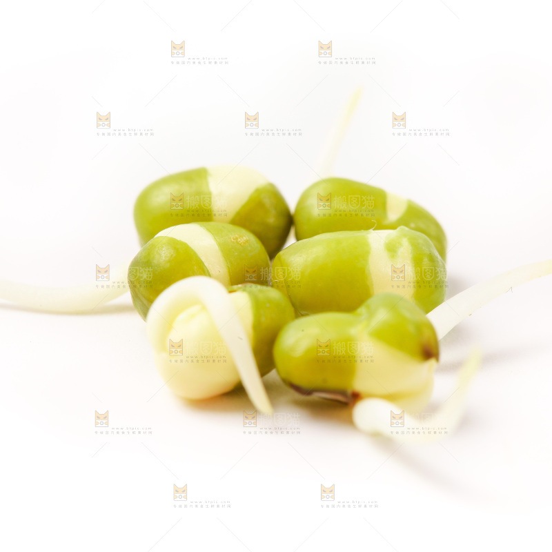 白底上的绿豆芽