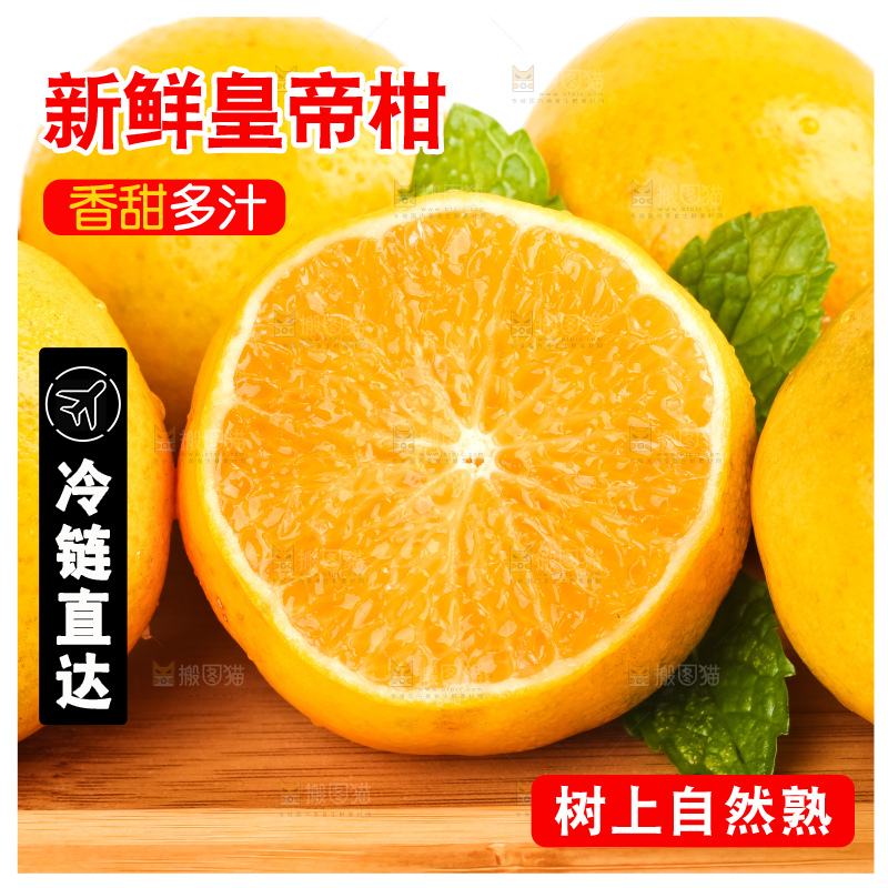 白底木盘里的武鸣皇帝柑