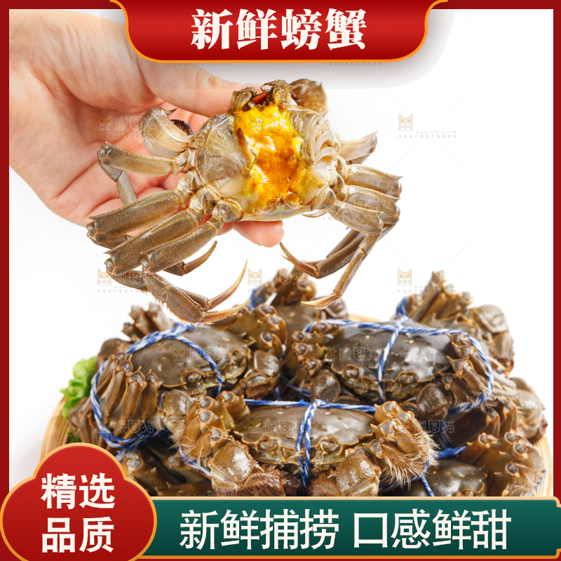篮子里装着鲜活螃蟹