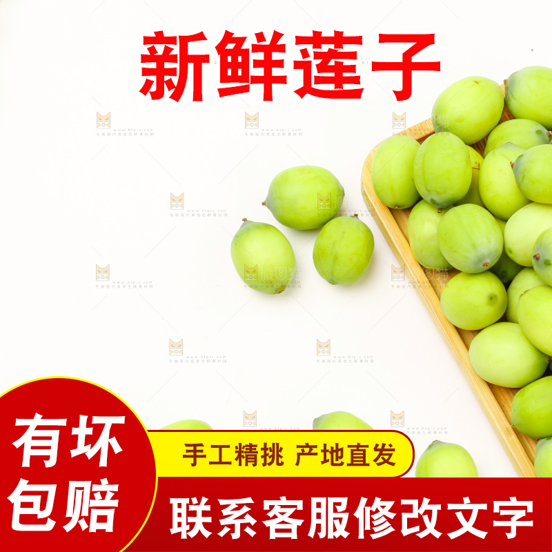 浅底上的新鲜莲子