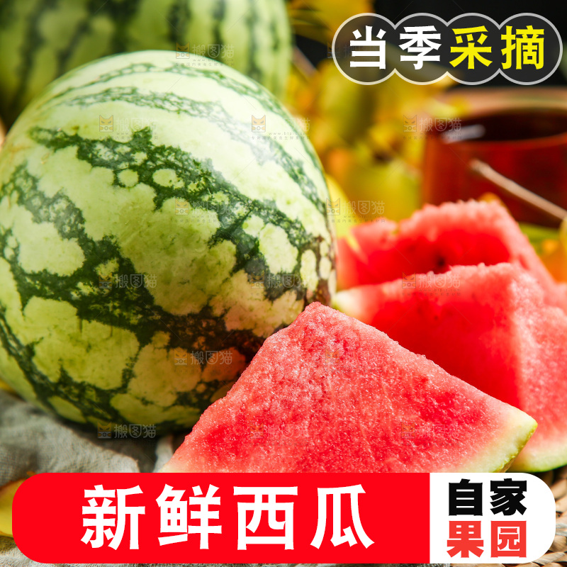 深底上的新鲜西瓜