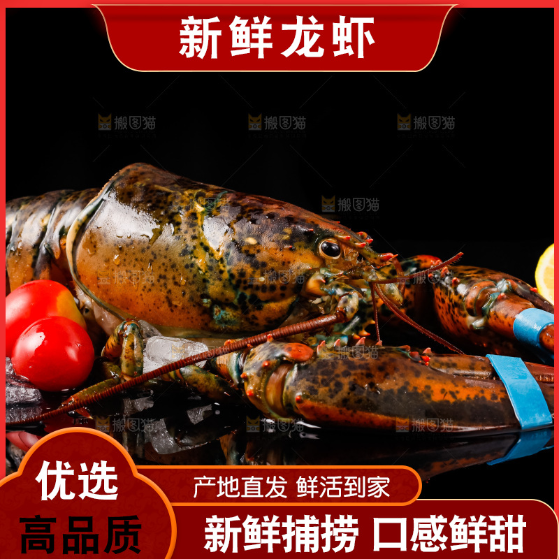 黑底上放着波士顿龙虾