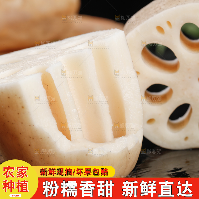 黑底上的粉莲藕