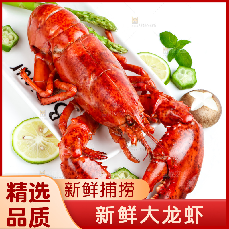 白底上放着一盘大龙虾
