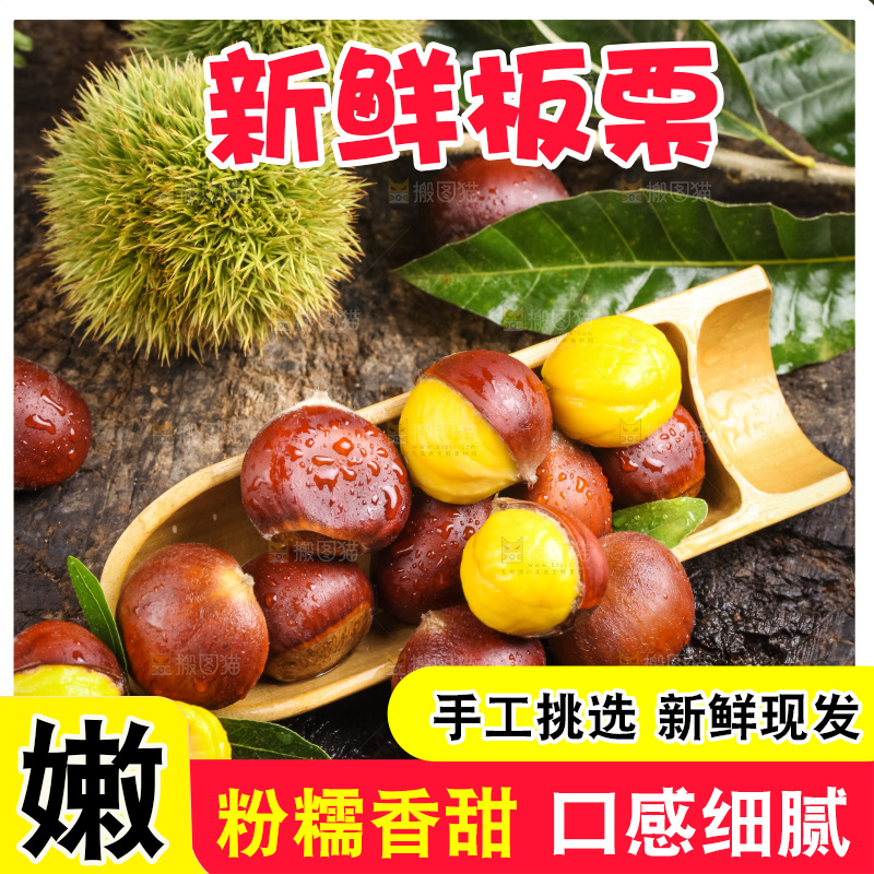 深底上的迁西板栗
