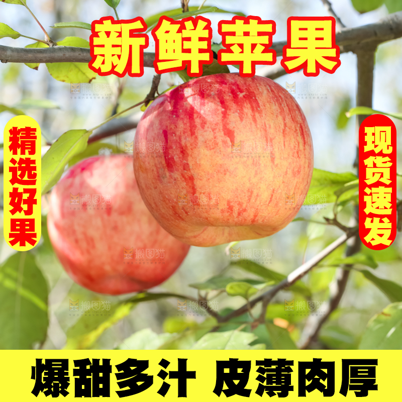 树上挂着冰糖心苹果