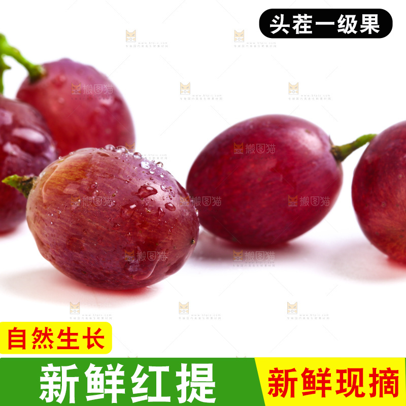 新鲜提子放在白底上