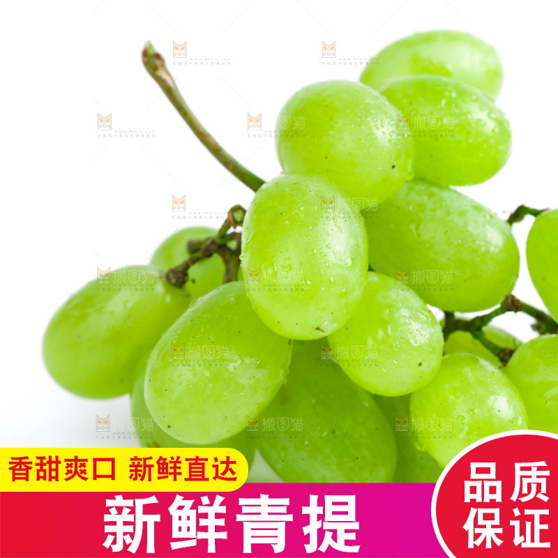 白底上放着维多利亚青提