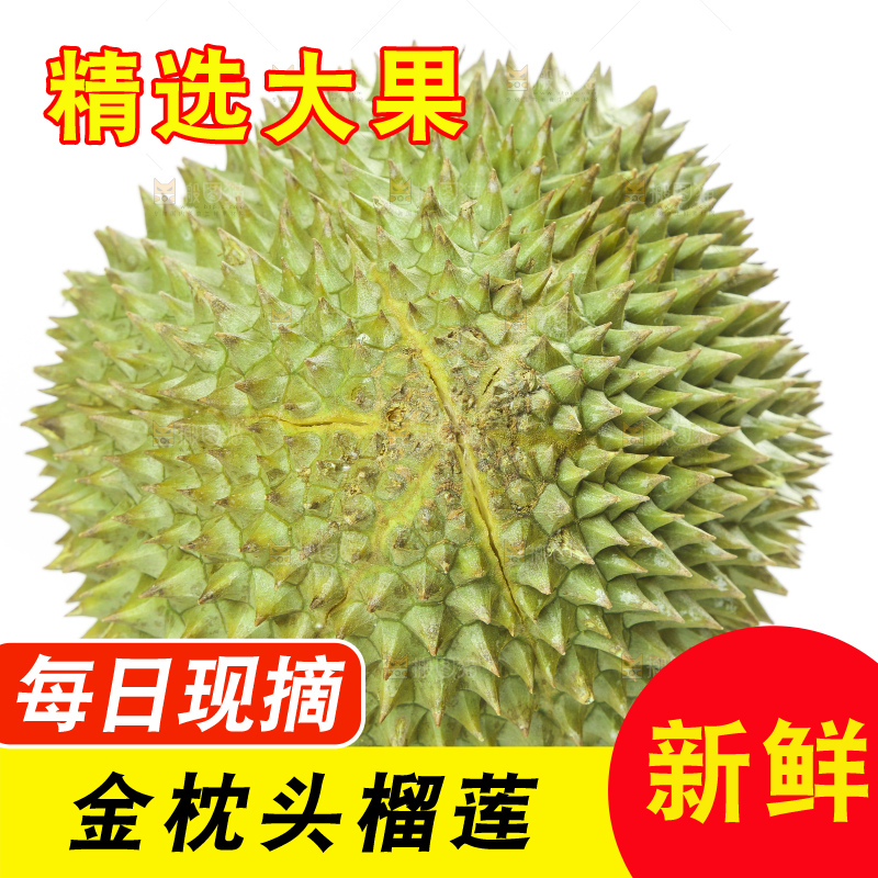 白底上放着泰国金枕榴莲
